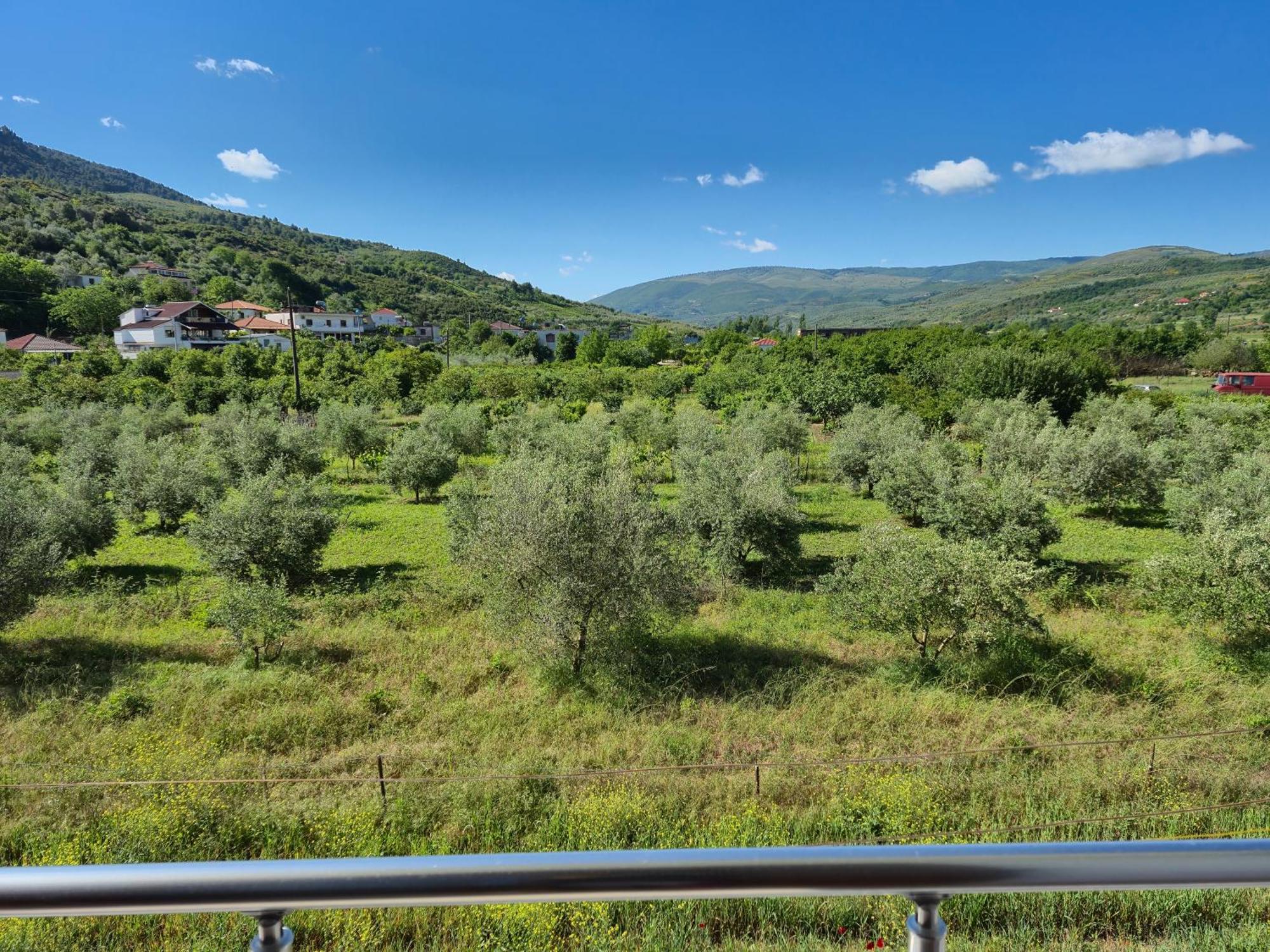 Villa Ari Berat Exterior foto